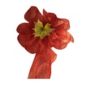 Malla Navidad roja 52x915cm