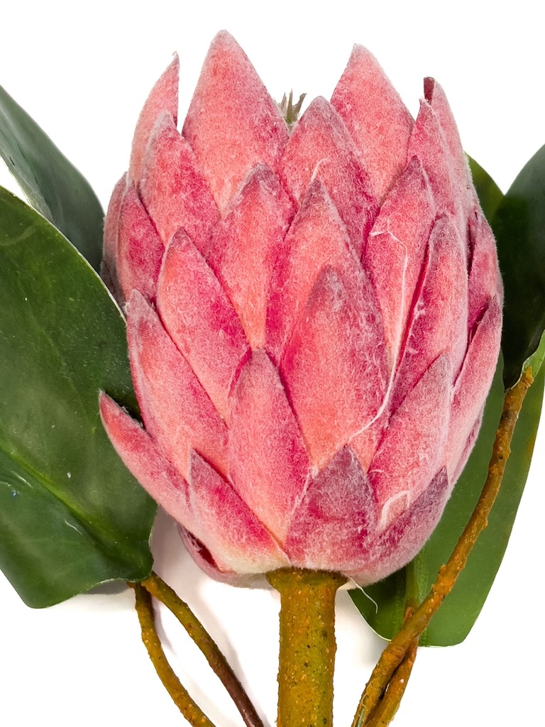 Protea artificial M rosada