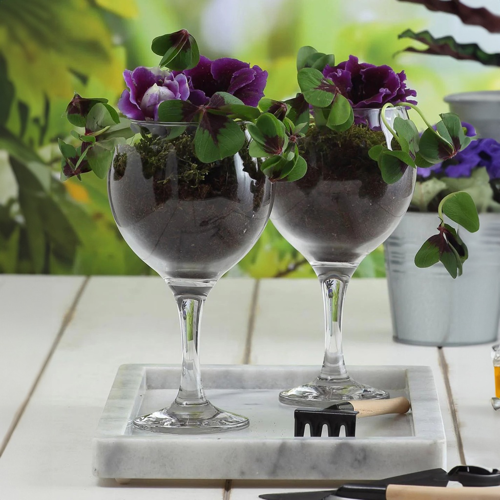 Copon 645ml set de 6