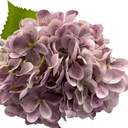 Flor hortensia artificial morado 67cm