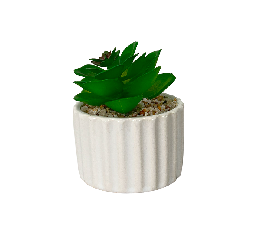 Suculenta mix base prisma 12,5cm