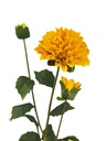 Dalia artificial amarilla