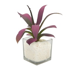 [230033253] Suculenta morada base vidrio 22cm