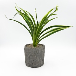 [230033267] Planta artificial 36cm